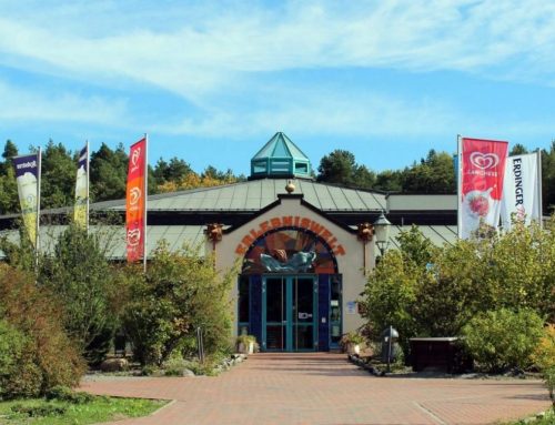 Geschäftsführer/-in gesucht