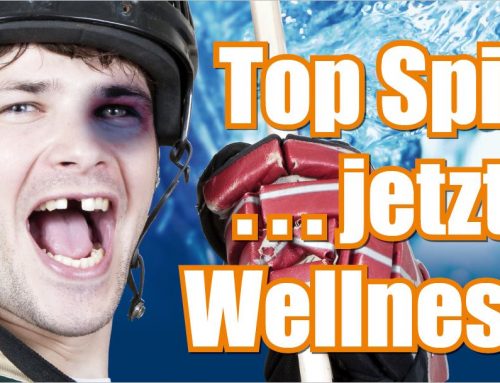 Sponsor der Lausitzer Füchse